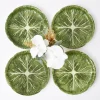 Alpine Lettuce Starter Plate (Set Of 4)