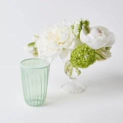 Green & White Rim Water Glasses (Set Of 4)