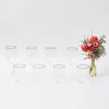 Olive Rim Swirl Glassware Set