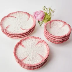 Pink Capri Lettuce Starter Plate