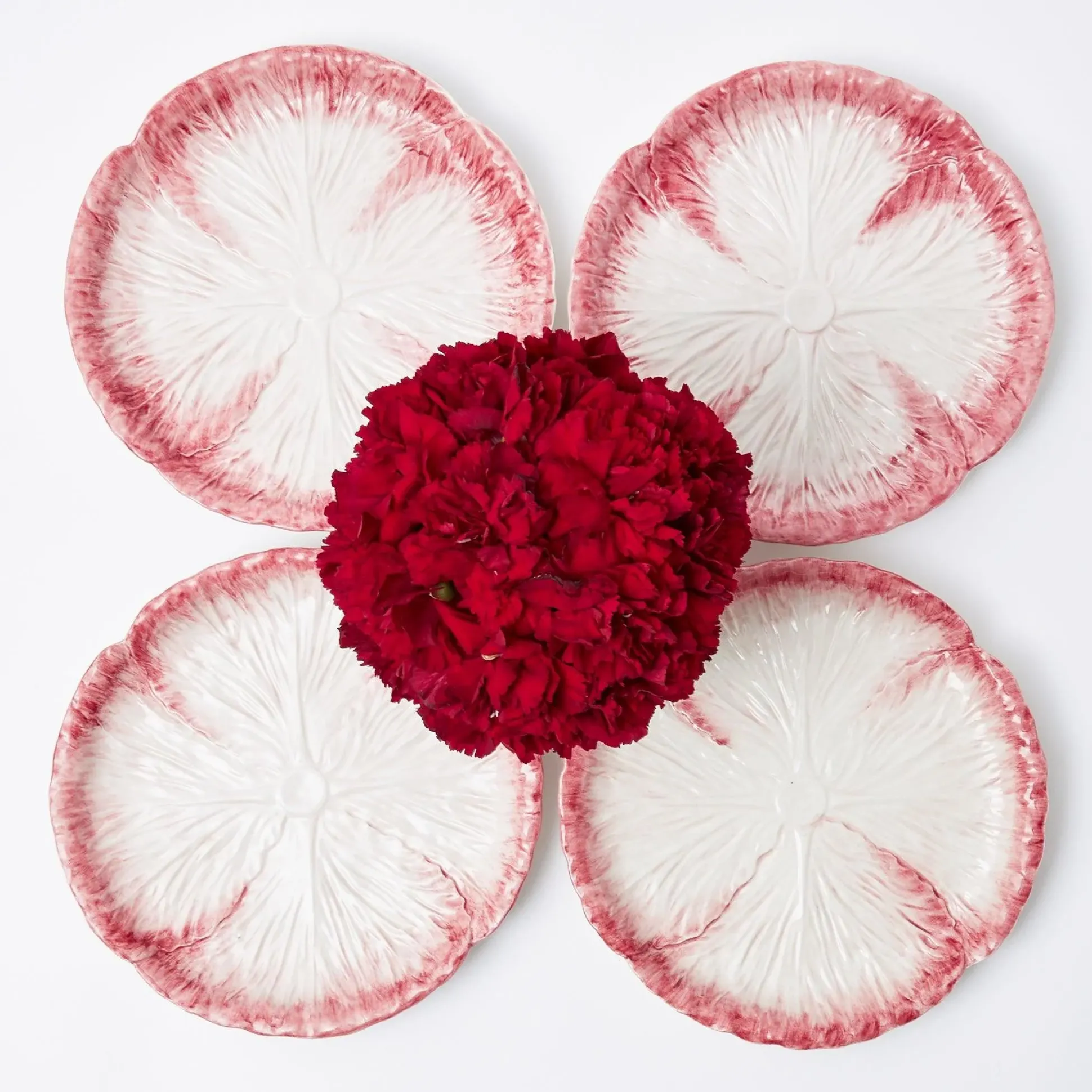 Pink Capri Lettuce Starter Plate (Set Of 4)