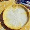 Yellow Capri Lettuce Starter Plate